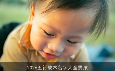 2026五行缺木名字大全男孩