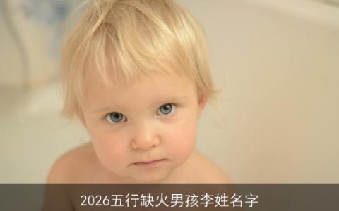2026五行缺火男孩李姓名字