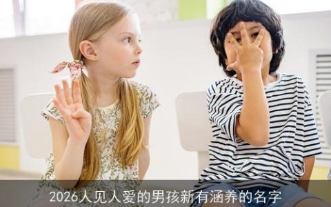 2026人见人爱的男孩新有涵养的名字