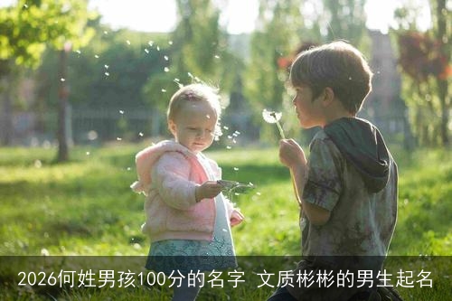 2026何姓男孩100分的名字 文质彬彬的男生起名