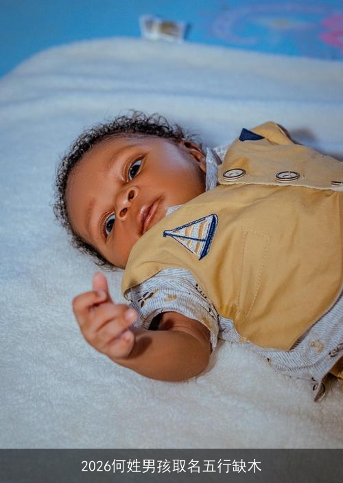 2026何姓男孩取名五行缺木