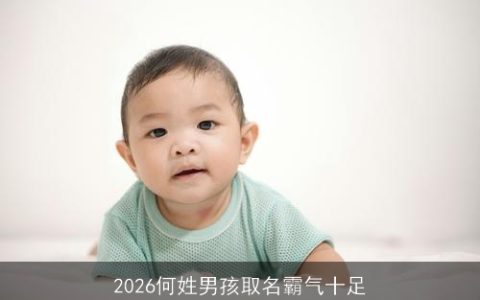 2026何姓男孩取名霸气十足