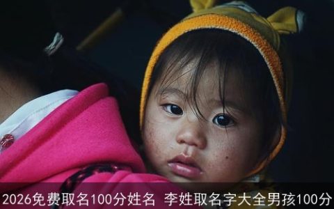 2026免费取名100分姓名 李姓取名字大全男孩100分