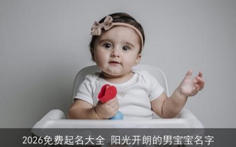 2026免费起名大全 阳光开朗的男宝宝名字