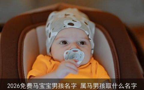 2026免费马宝宝男孩名字 属马男孩取什么名字