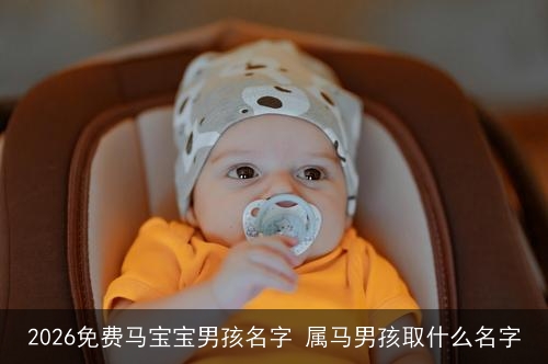 2026免费马宝宝男孩名字 属马男孩取什么名字