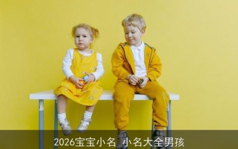 2026宝宝小名 小名大全男孩