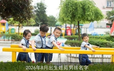 2026年8月出生姓苑男孩名字
