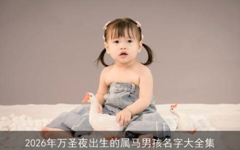 2026年万圣夜出生的属马男孩名字大全集