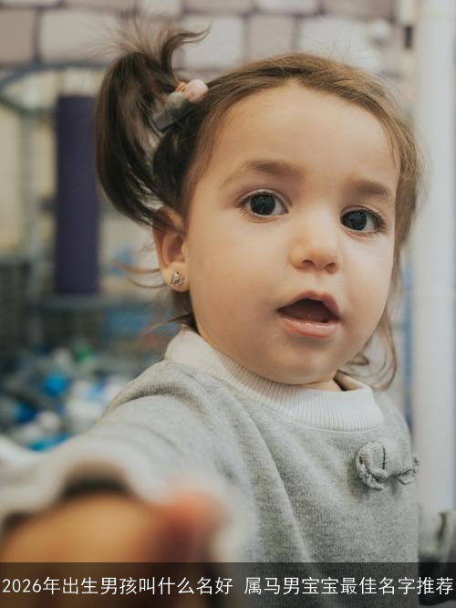 2026年出生男孩叫什么名好 属马男宝宝最佳名字推荐