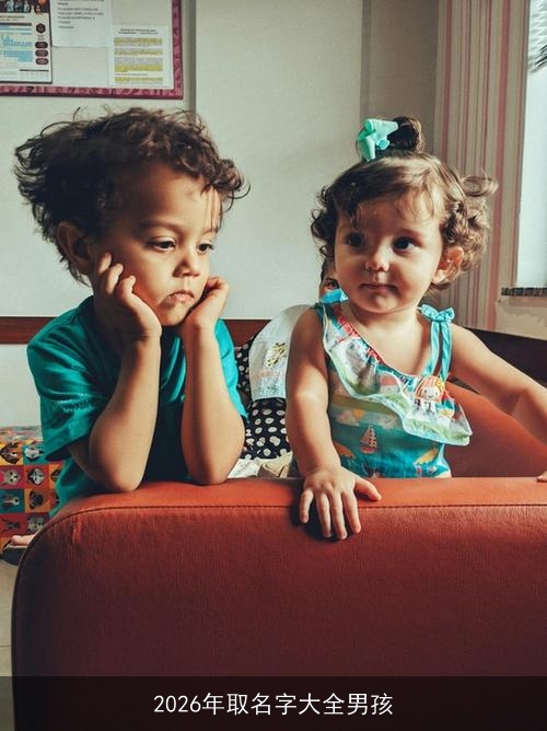 2026年取名字大全男孩
