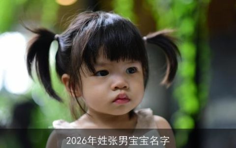 2026年姓张男宝宝名字