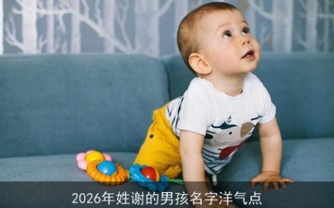 2026年姓谢的男孩名字洋气点