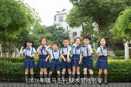 2026年属马五行缺木男孩名字