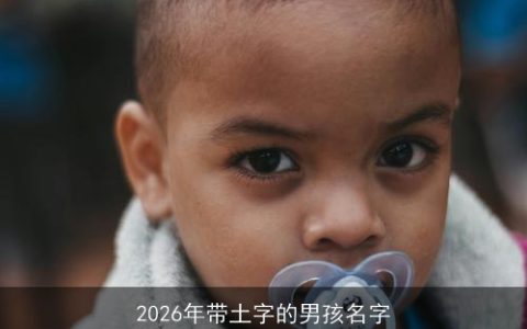 2026年带土字的男孩名字