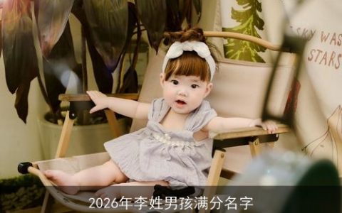 2026年李姓男孩满分名字