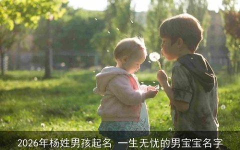 2026年杨姓男孩起名 一生无忧的男宝宝名字