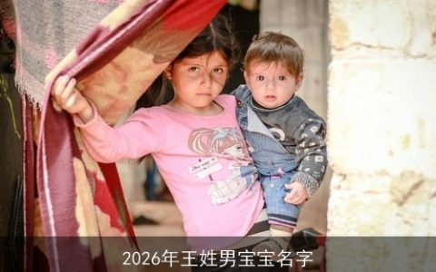 2026年王姓男宝宝名字