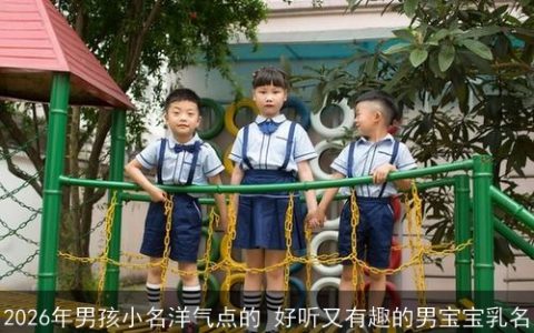 2026年男孩小名洋气点的 好听又有趣的男宝宝乳名