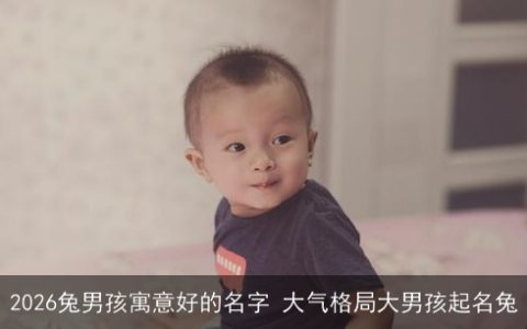 2026兔男孩寓意好的名字 大气格局大男孩起名兔