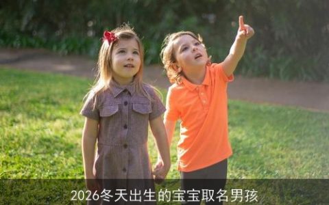 2026冬天出生的宝宝取名男孩