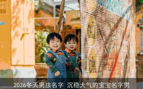 2026冬天男孩名字 沉稳大气的宝宝名字男