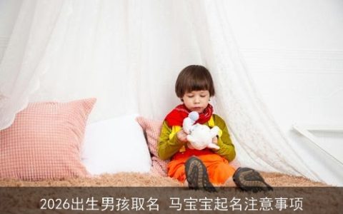 2026出生男孩取名 马宝宝起名注意事项