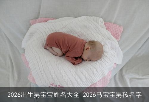 2026出生男宝宝姓名大全 2026马宝宝男孩名字