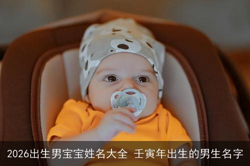 2026出生男宝宝姓名大全 壬寅年出生的男生名字