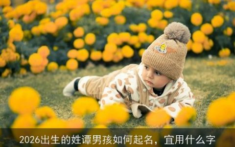 2026出生的姓谭男孩如何起名，宜用什么字