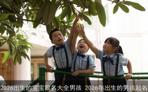 2026出生的宝宝取名大全男孩 2026年出生的男孩起名