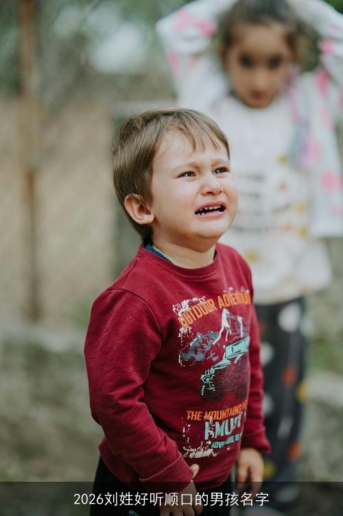 2026刘姓好听顺口的男孩名字