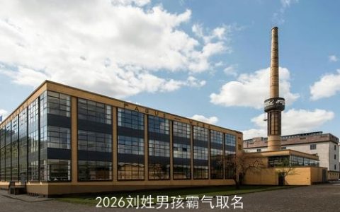 2026刘姓男孩霸气取名