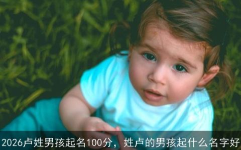 2026卢姓男孩起名100分，姓卢的男孩起什么名字好