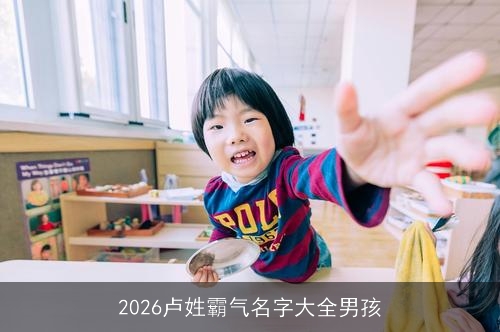 2026卢姓霸气名字大全男孩