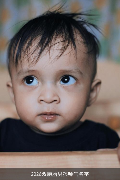 2026双胞胎男孩帅气名字