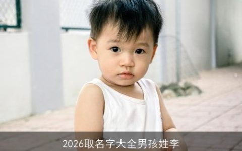 2026取名字大全男孩姓李