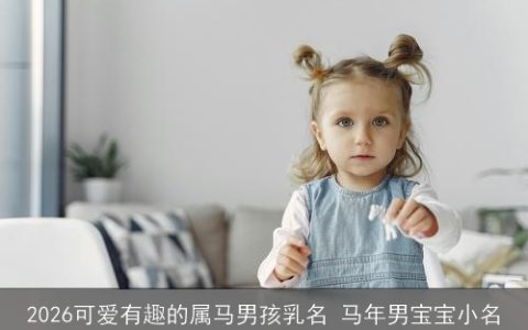 2026可爱有趣的属马男孩乳名 马年男宝宝小名