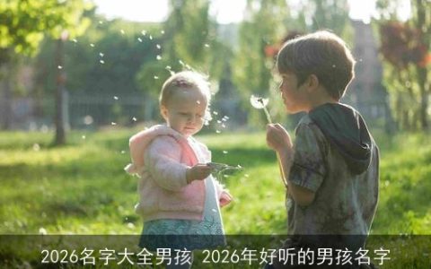 2026名字大全男孩 2026年好听的男孩名字