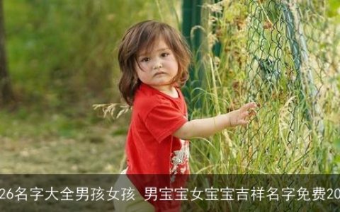 2026名字大全男孩女孩 男宝宝女宝宝吉祥名字免费2026