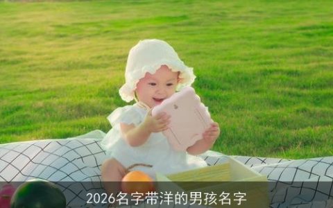 2026名字带洋的男孩名字