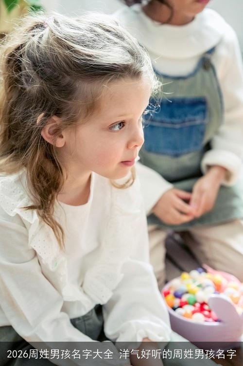 2026周姓男孩名字大全 洋气好听的周姓男孩名字