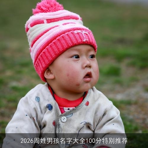 2026周姓男孩名字大全100分特别推荐