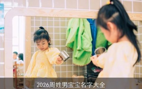 2026周姓男宝宝名字大全