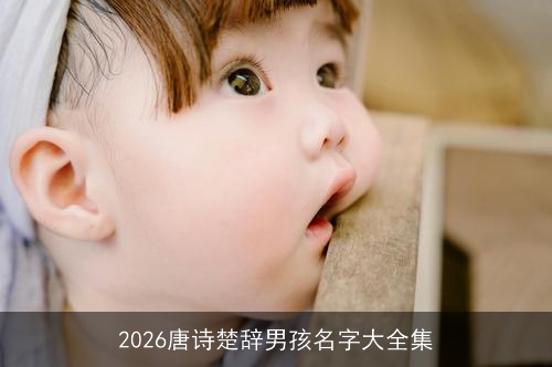 2026唐诗楚辞男孩名字大全集