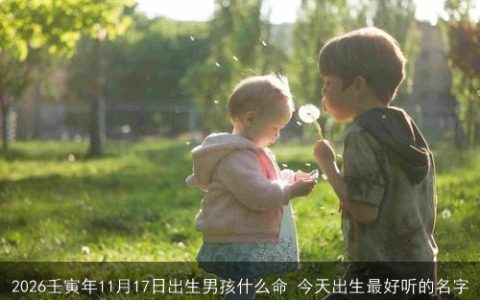 2026壬寅年11月17日出生男孩什么命 今天出生最好听的名字