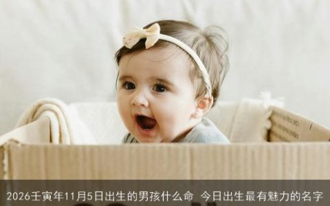 2026壬寅年11月5日出生的男孩什么命 今日出生最有魅力的名字