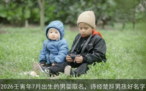2026壬寅年7月出生的男婴取名，诗经楚辞男孩好名字