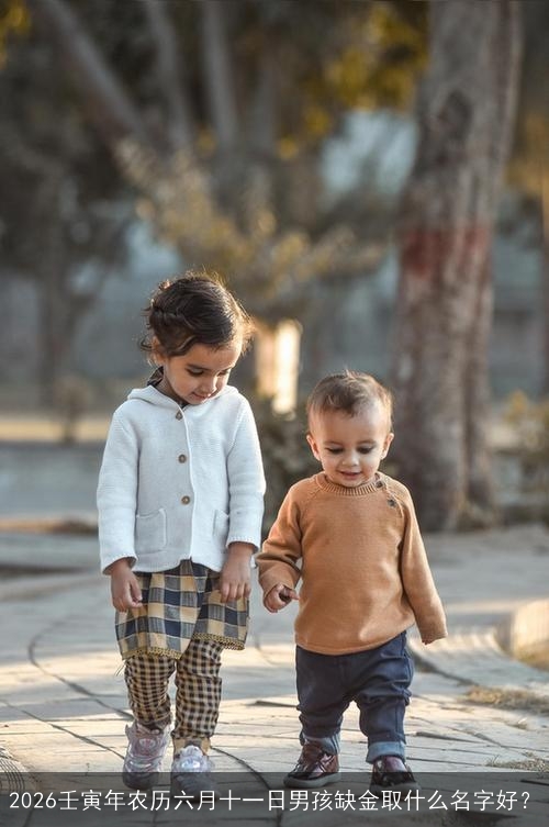 2026壬寅年农历六月十一日男孩缺金取什么名字好？
