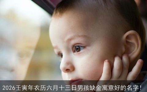2026壬寅年农历六月十三日男孩缺金寓意好的名字！